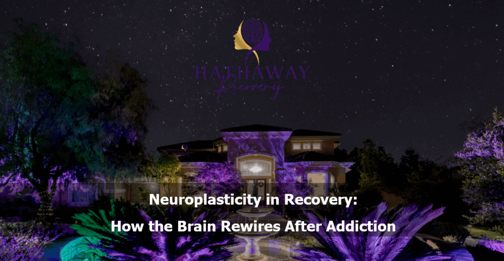 Neuroplasticity in Recovery: How the Brain Rewires After Addiction